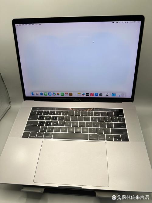 18岁macbookproggshhssd