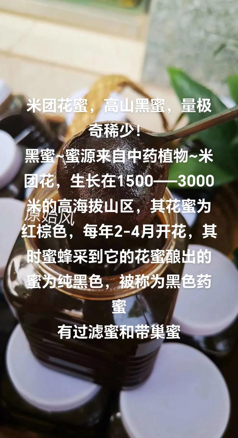 他的舌头探进蜜源毛毛虫说说