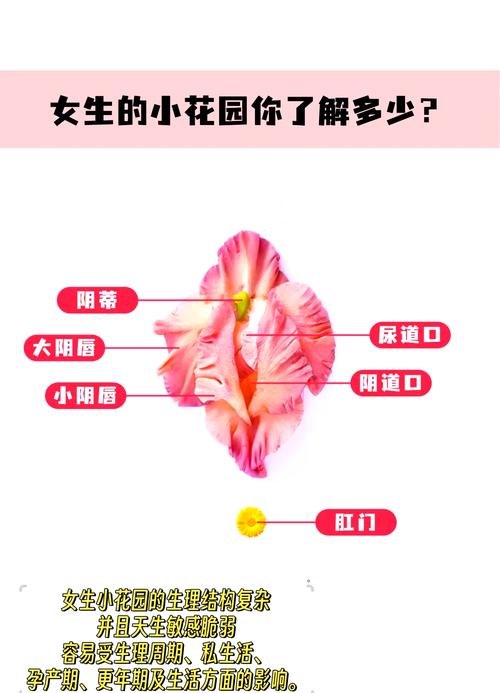 老公吃小花园的方法