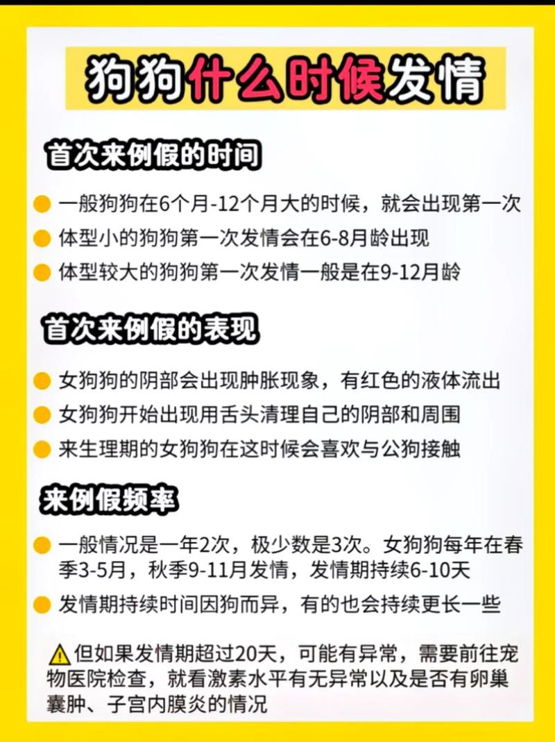 狗狗交配时会锁住多长时间