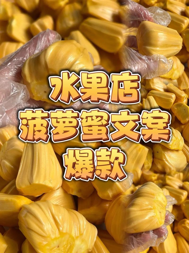 菠萝蜜在线观看真的能免费看电视吗