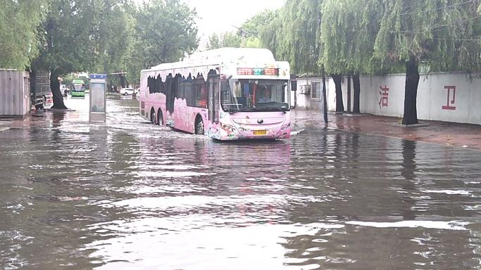 小扫货水怎么那么多公交车