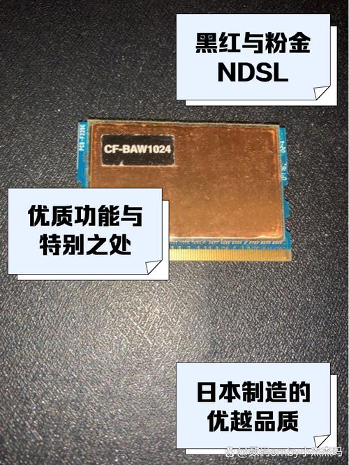 DDR1在线观看免费版