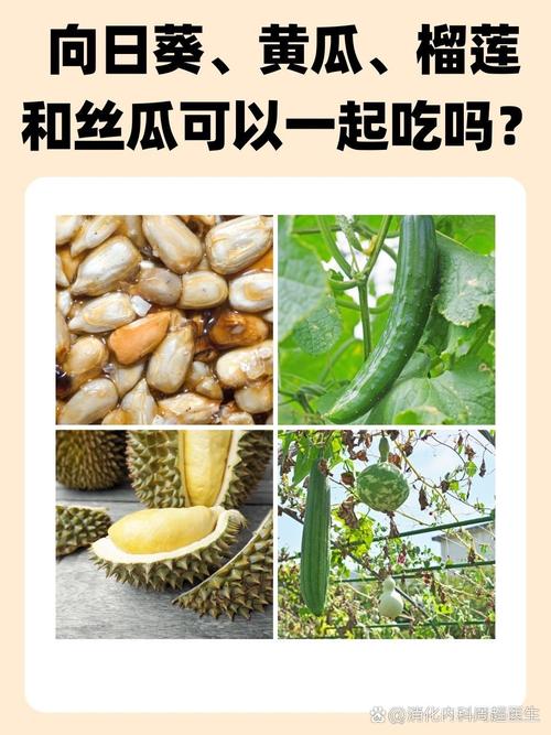 榴莲秋葵向日葵茄子丝瓜大全