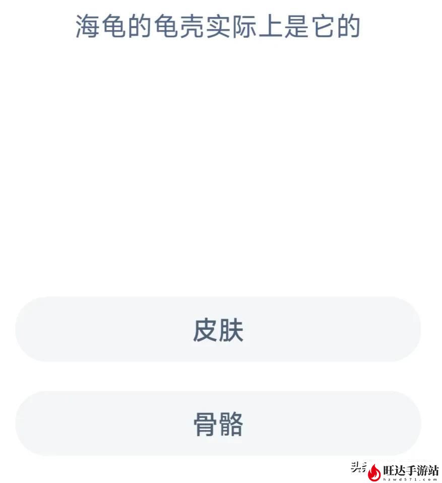 蚂蚁庄园每日最新答题答案3.2_海龟的龟壳实际上是它的